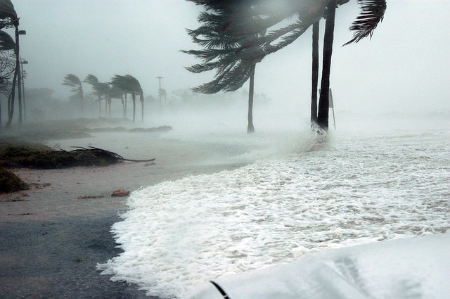 beach with palm trees and rising water